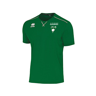 DLG everton shirt groen